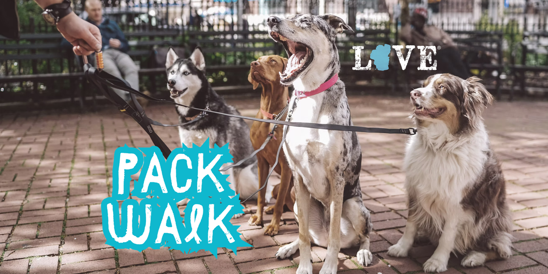 PACK WALK | Monthly Meet Ups